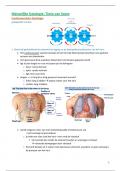 Samenvatting Menselijke fysiologie - Hart