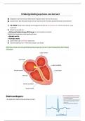 Alles over medische: ECG/ transfusie/ centrale katheter/ bloed