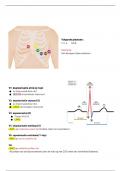 ECG geleiding 