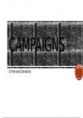 Crime Campaigns 