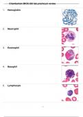 BIOS-255: ANATOMY & PHYSIOLOGY III WITH LAB PRACTICUM REVIEW EXAM QUESTIONS WITH 100% CORRECT ANSWERS| GRADED A+