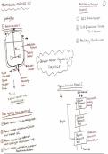 Summary -  Chemical Reaction Engineering (CENG206P)