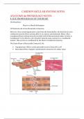 B. ELECTROPHYSIOLOGY OF THE HEART