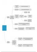 PB 1612 Mindmaps tentamenleerstof (9.4/10), cognitief interview (8.9/10) en analyseopdracht (7/10)