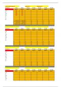 Worksheet voor ZZP financien, opdrachten, km-registratie