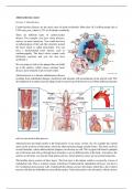 Atherosclerosis summary to pass your exam