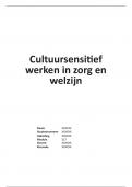 Cultuursensitief werken in zorg en welzijn  (S27)