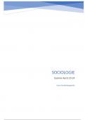 samenvatting- sociologie