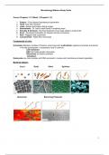 BIOS 242 Microbiology Midterm Study Guide (Version-2) Midterm Micro Chapter 1-13, BIOS 242: Microbiology, Chamberlain. Best document for exam.