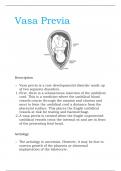 ▪ Vasa previa is a rare developmental disorder made up  of two separate disorders. 1. First, there is a velamentous insertion of the umbilical  cord. This is a condition where the umbilical blood  vessels course through the amnion and chorion and  meet to
