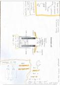 Electrolytic vs Galvanic Cells for Gr 12