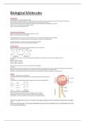 Biological Molecules & Nucleic Acids