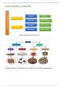 Summary -  Química 