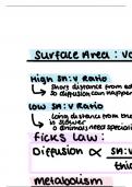 AS Biology-Topic 3- Exchange-systems(insects/fish/plants/humans)-summary