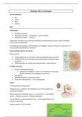 Samenvatting histologie van de orgaanstelsels: Nier en urinewegen, 2e bachelor biomedische wetenschappen