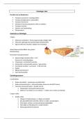 Samenvatting histologie van de orgaanstelsels: Hart, 2e bachelor biomedische wetenschappen