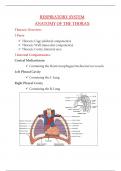 RESPIRATORY SYSTEM ANATOMY OF THE THORAX