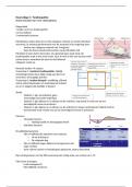 Samenvatting pathologie 3