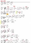 COMPLETE ORGANIC CHEMISTRY 1 MECHANISMS SUMMARY (Very helpful for final exam)