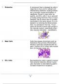 Drugs for Allergies, Thyroid Disorders, & Glucocorticoids.