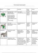 Muscles insertion & origin-first year Med student