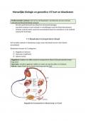 Hoofdstuk 7 menselijke biologie en genetica: hart en bloedvaten