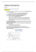 Samenvatting Labor Economics for final Exam -  Labour Economics (6013B0468Y)