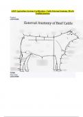 AEST Agriculture Systems Certification - Cattle External Anatomy 2B of 6  Verified Answers