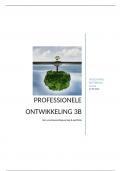 Professionele Ontwikkeling 3B Verantwoordingsverslag & Portfolio