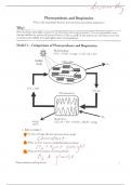 PHOTOSYNTHESIS AND RESPIRATION QUIZ STUDY GUIDE FOR FINAL EXAM