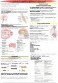 Control de apetito y Evaluación nutricional