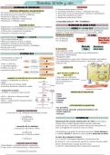 Metabolismo fosfocalcico