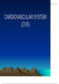 Anatomy and Physiology of the Cardiovascular System