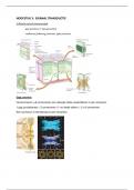 Samenvatting Algemene Fysiologie H3