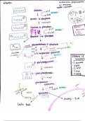 Glycolysis