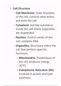 Nucleus , mitochondria , functions 