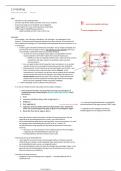 Samenvatting - Immunologie (prof. Poesen)