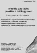 Scheidegger voorbeeld geslaagde module Praktisch Leidinggeven, STARR methode, Organisatiestructuur, Conflicten, Herzberg, Geslaagd cijfer 8