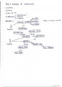 apuntes de clase y actividades resueltas tema 6 Diagramas de comportamiento