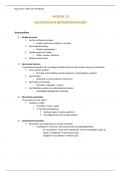 Samenvatting Module 10 -  Sociologie (K000459A)