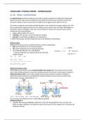 Moleculen Hoorcolleges Fysische Chemie