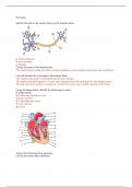 A&P 2 102 Exam 1-6 All Answers Portage Learning