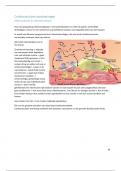 Samenvatting ziekteleer - deel cardiovasculaire aandoeningen (18/20)