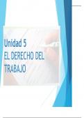 Tema 5: El derecho del trabajo