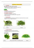Samenvatting Algen en wieren - Warenkennis