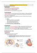 Samenvatting Anatomie semester 2