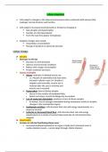 NUR 3032 - Patho  Cumulative Final  Study Guide.