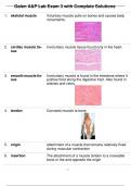 Galen A&P Lab Exam 3 with Complete Solutions