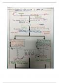 Summary - Alcohol Flush Mechanism