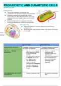 Prokaryotic and Eukaryotic Cells